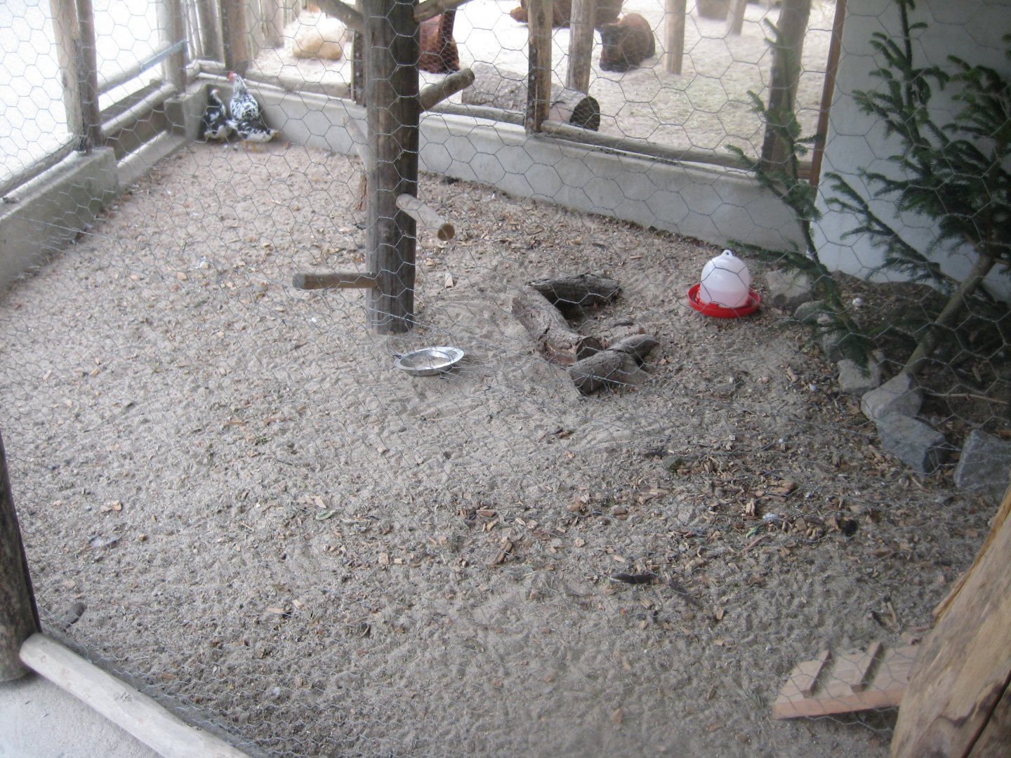 Ree Park - The farm - Chicken aviary