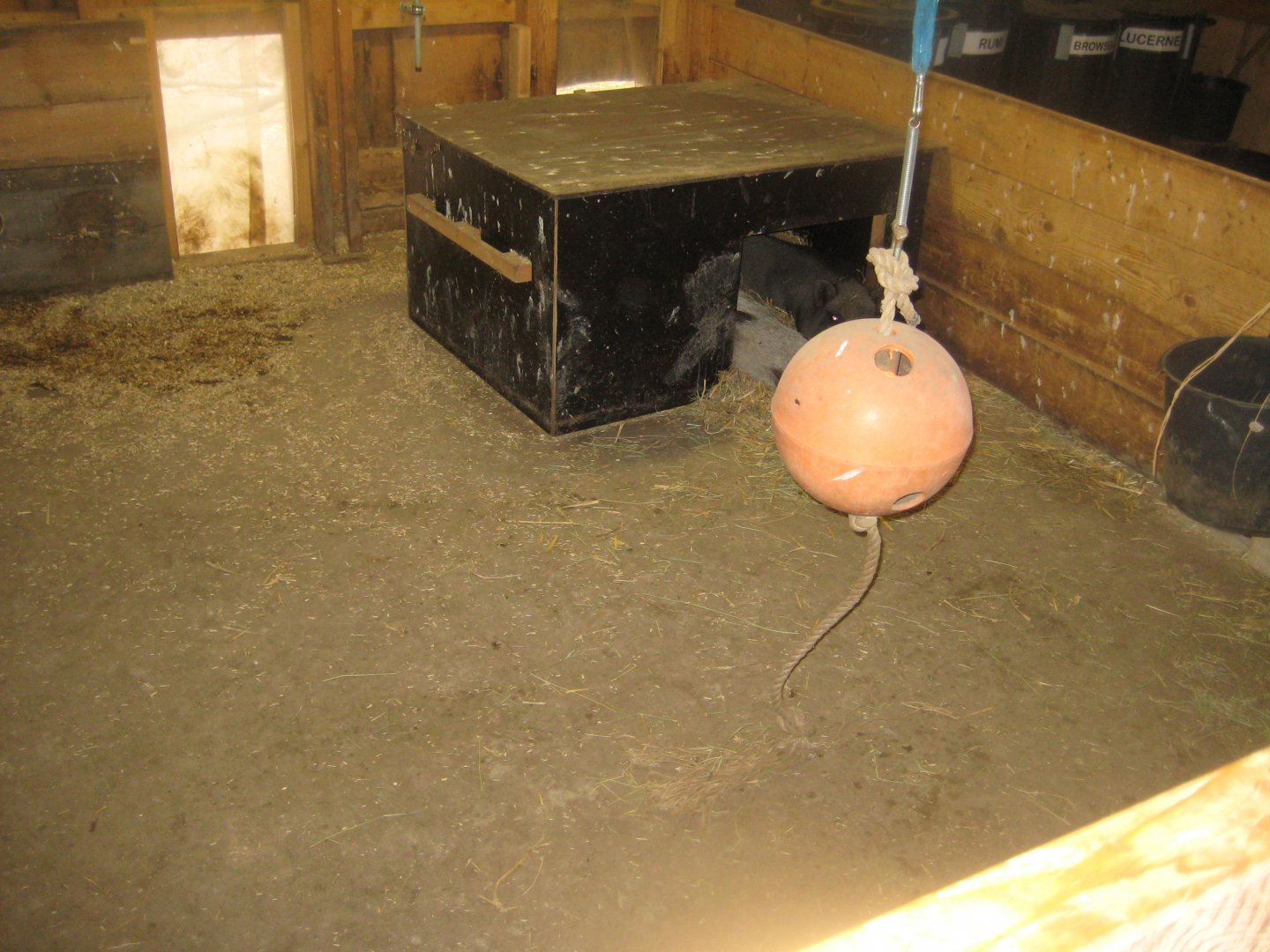 Ree Park - The farm - Pig stables