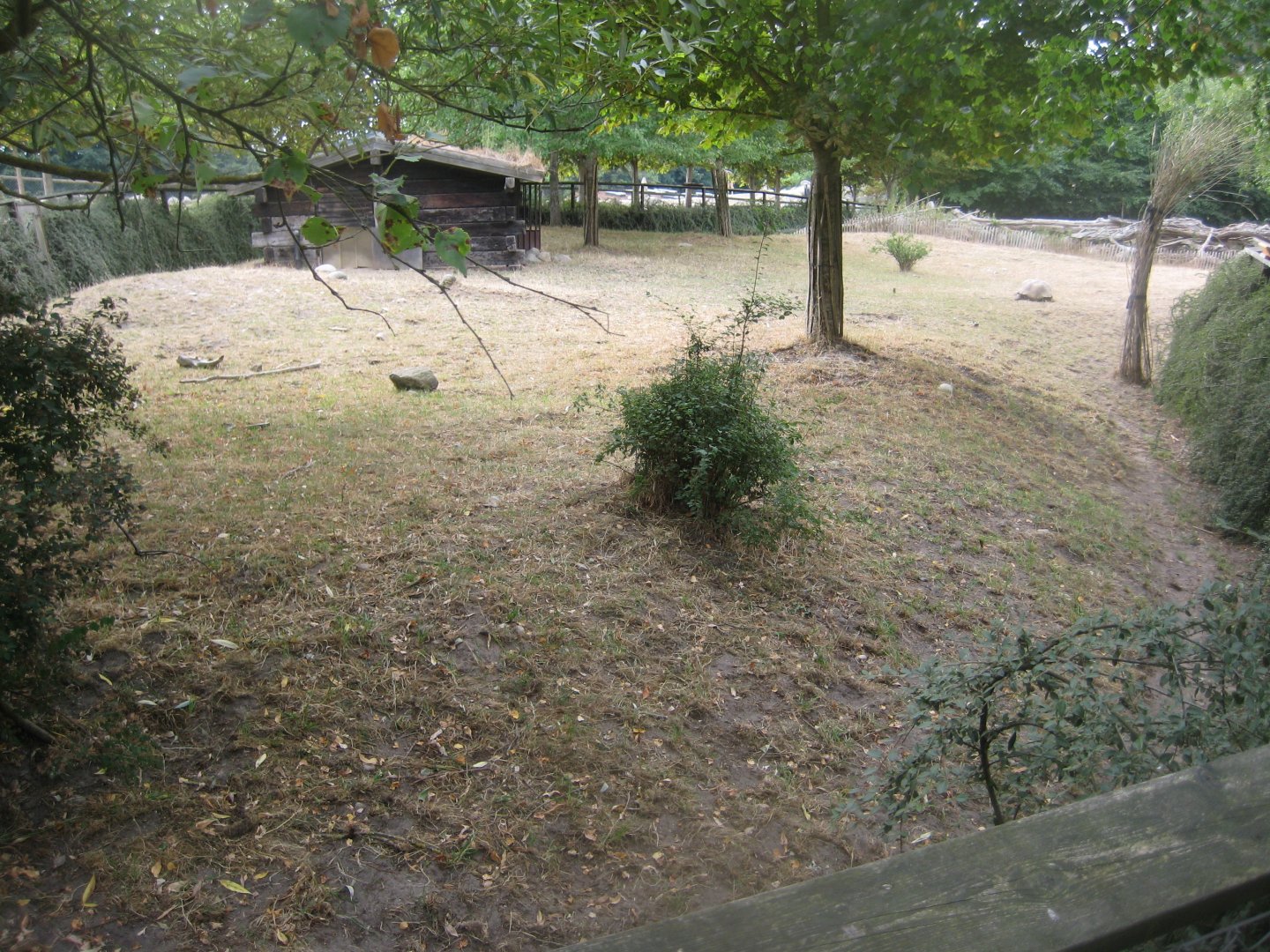 Ree Park - Tortoise exhibit