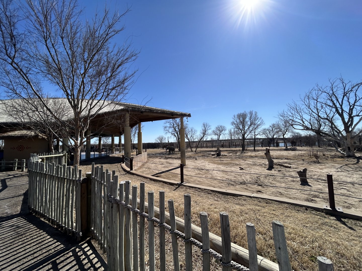 Reed Family Elephants of the Zambezi River Valley