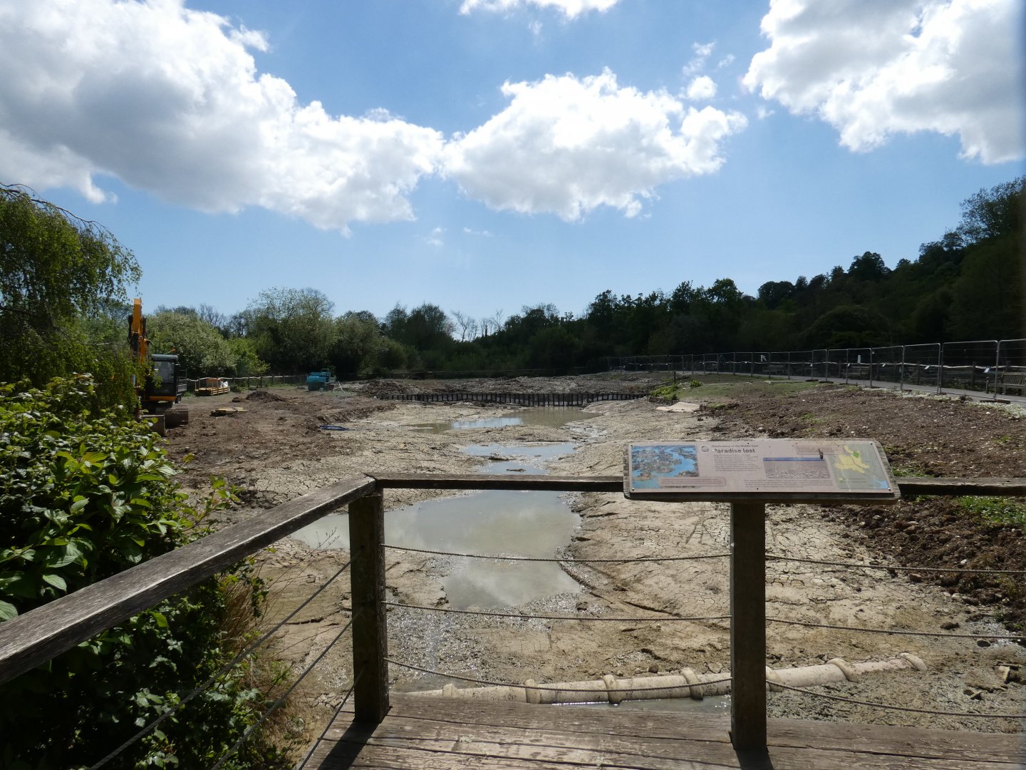 Reed swamp exhibit under refurbishment