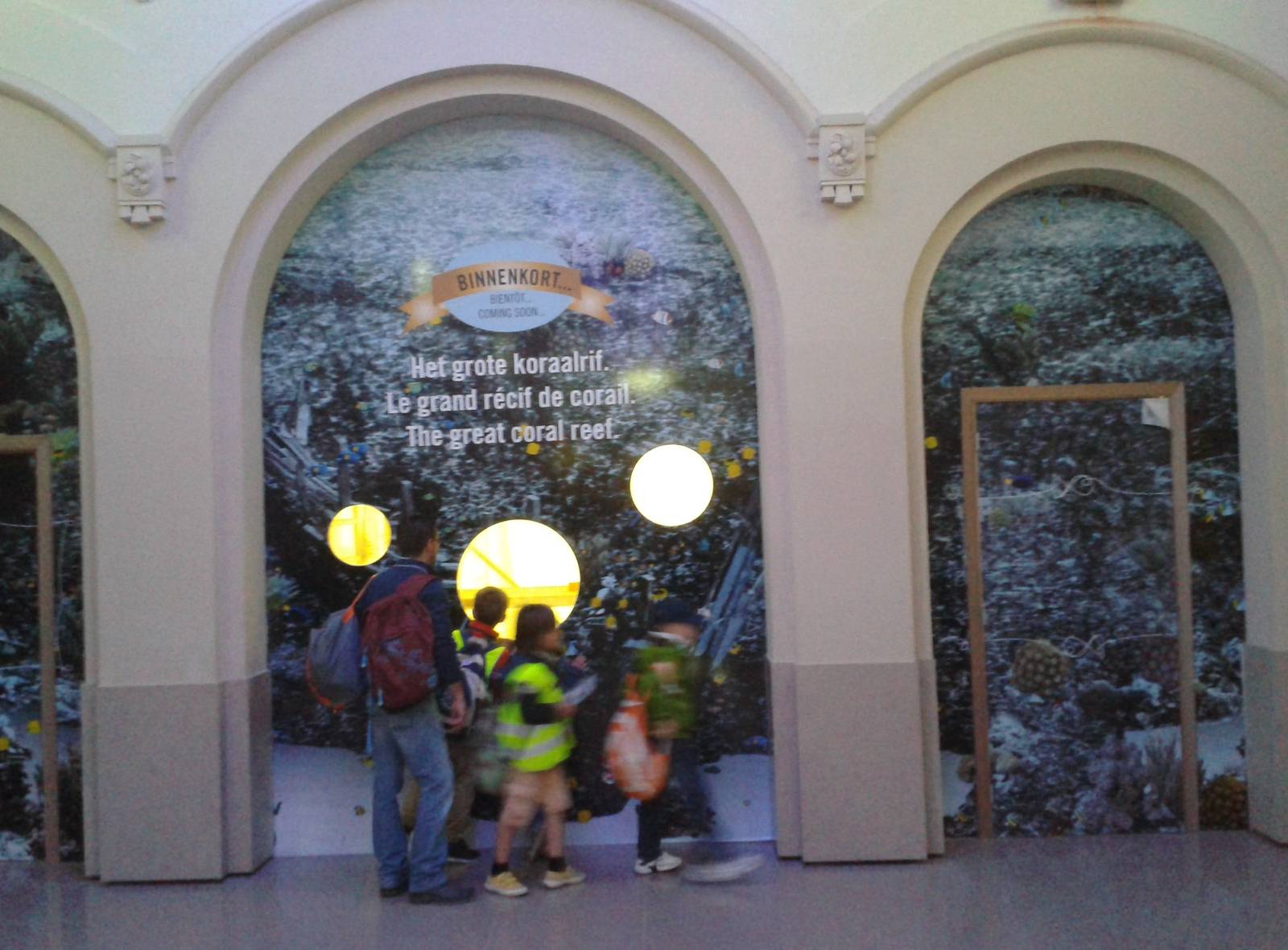 Reef aquarium under construction