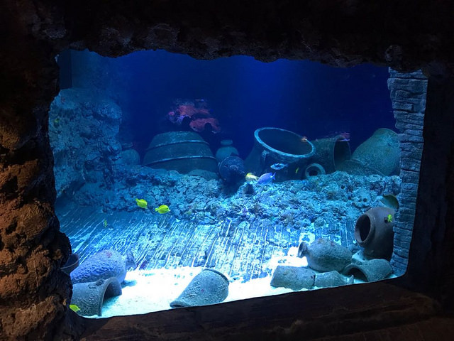 Reef aquarium