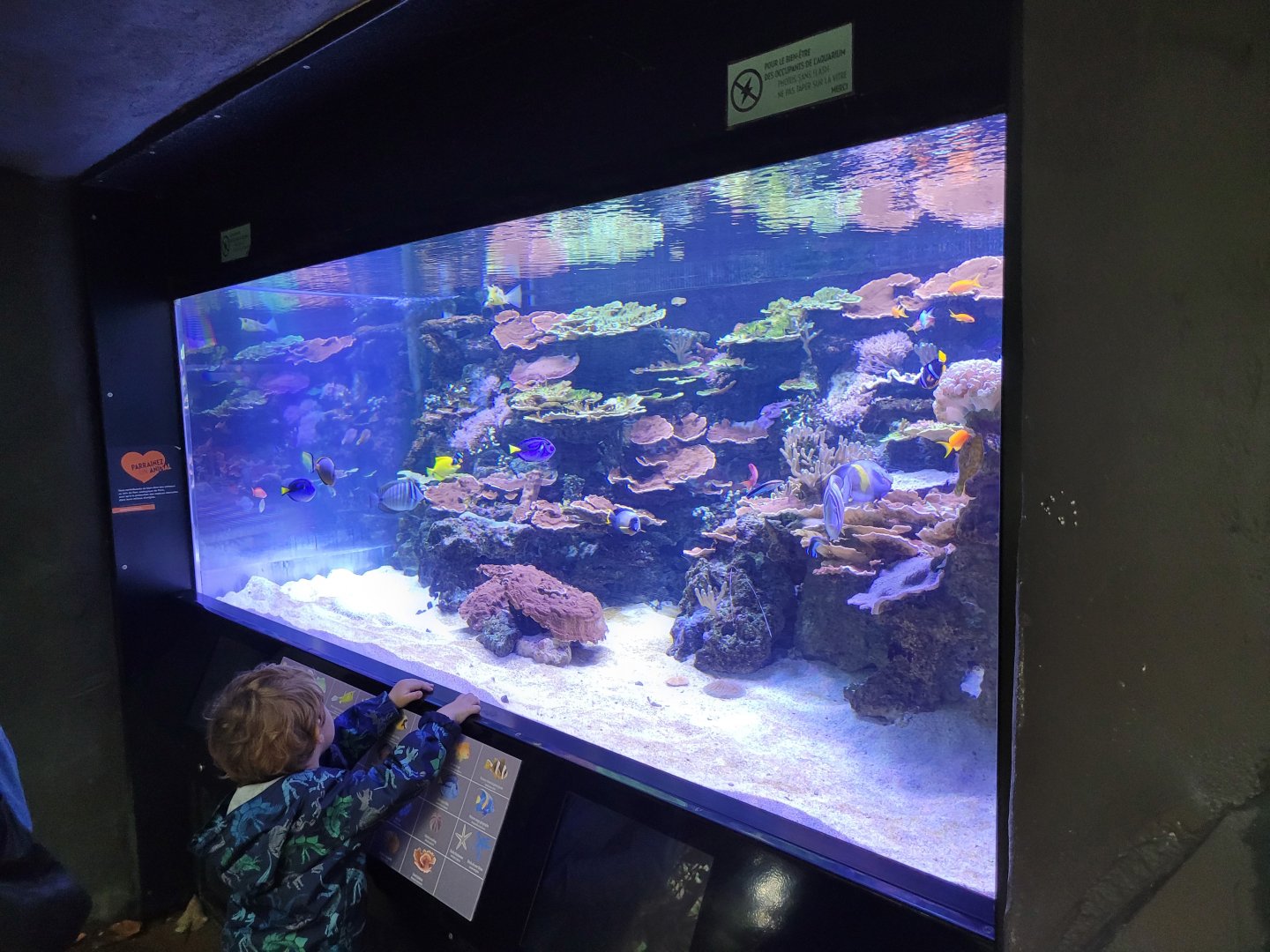 Reef exhibit -Parc Zoologique de Paris (2022)