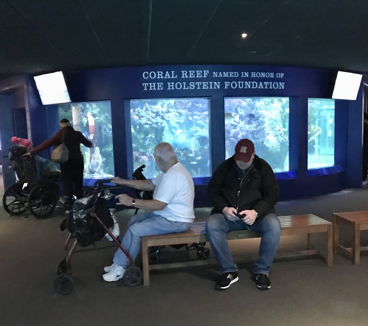Reef Exhibit