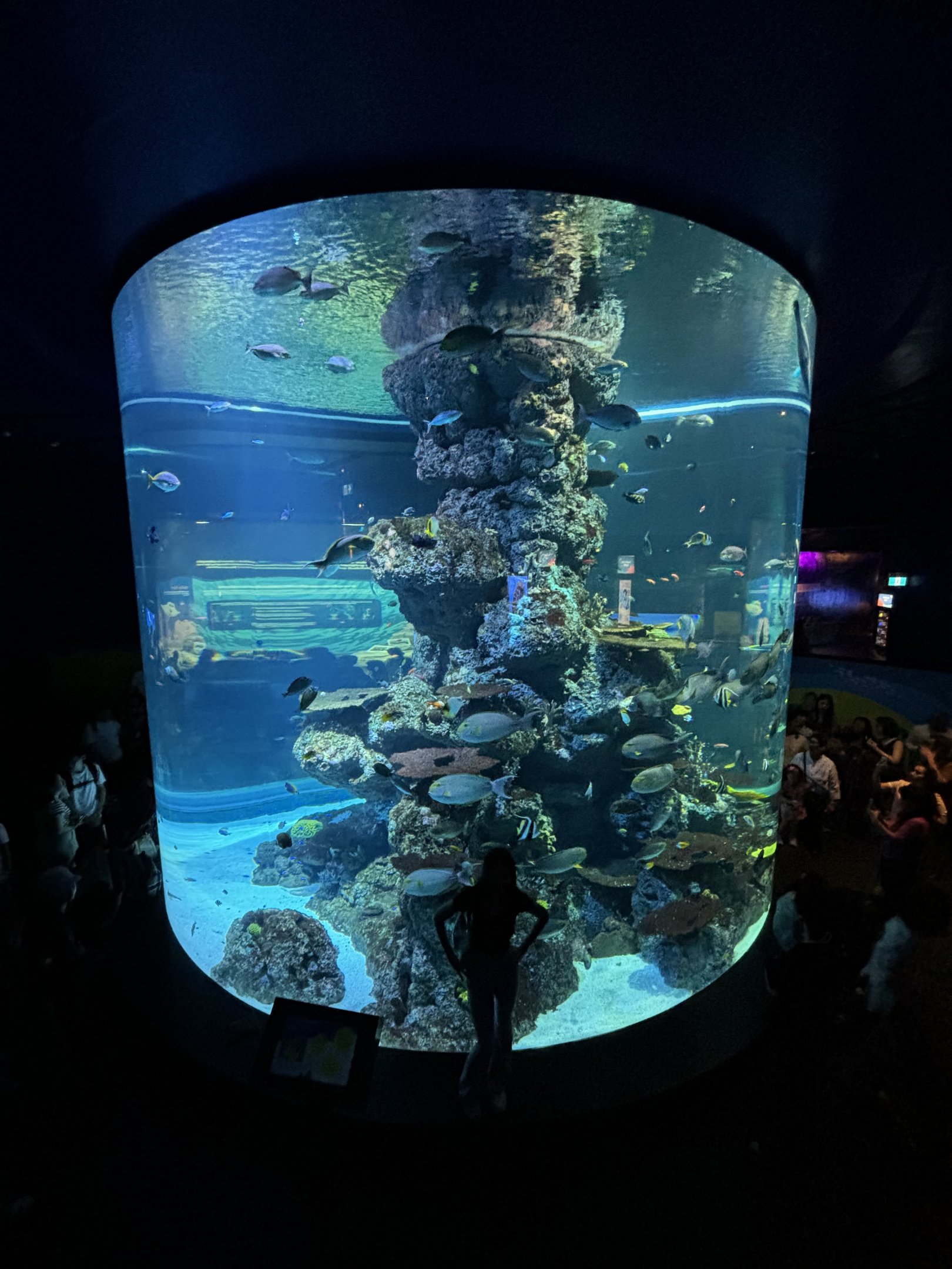 Reef Exhibit