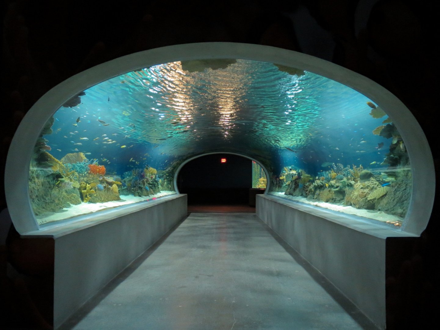 Reef Jewels - Great Barrier Reef Tunnel Exhibit