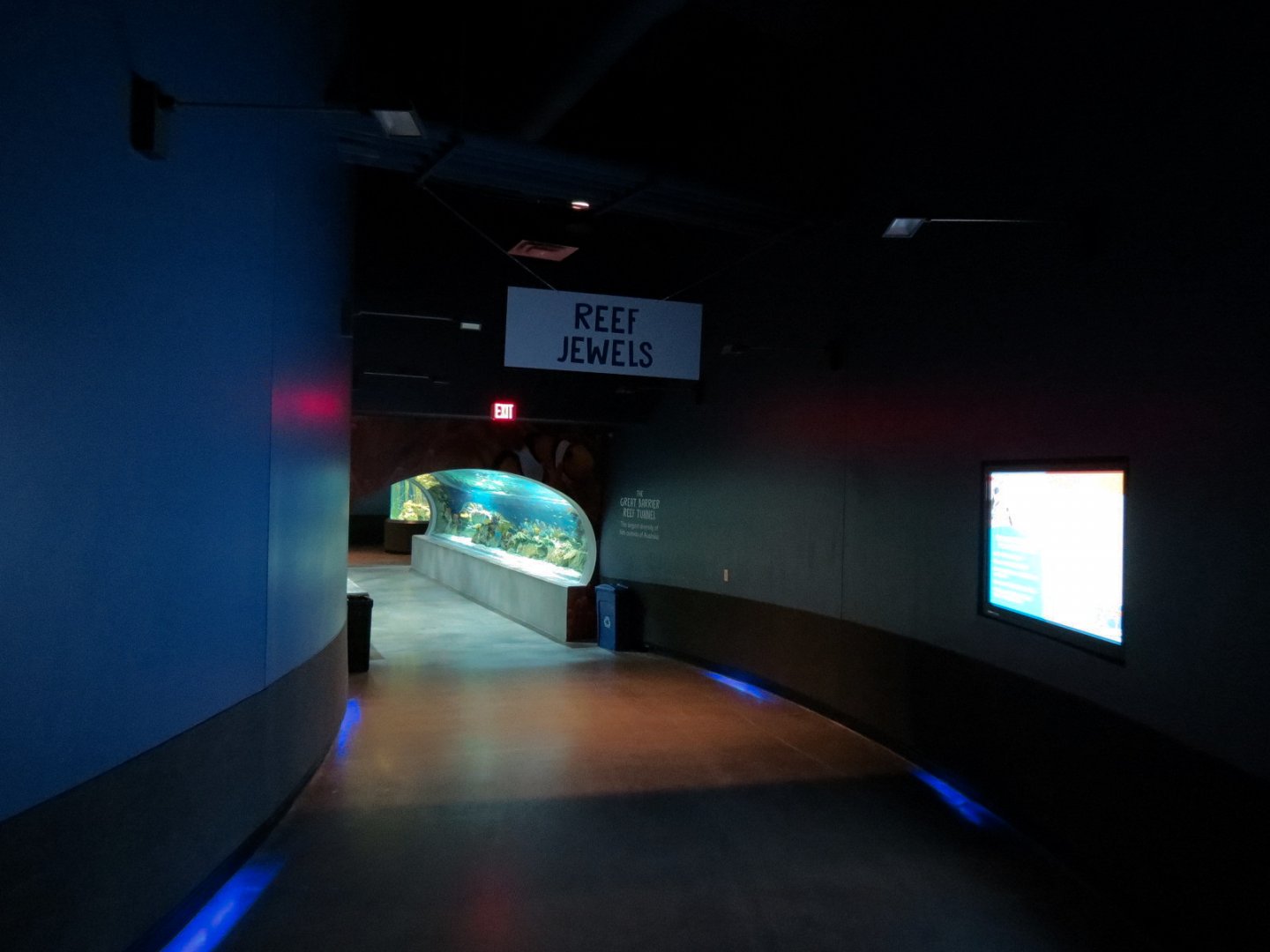 Reef Jewels - Hallway