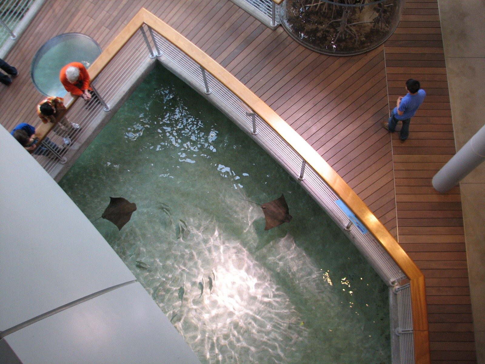Reef Lagoon Viewed from Above