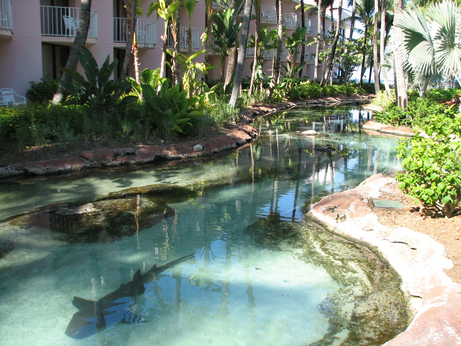 Reef Lagoon