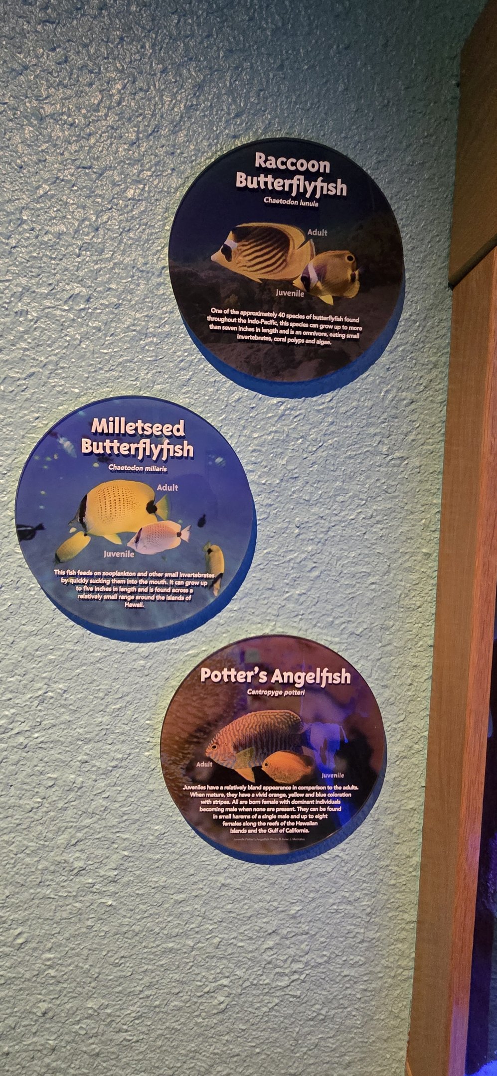 Reef Secrets -  signage