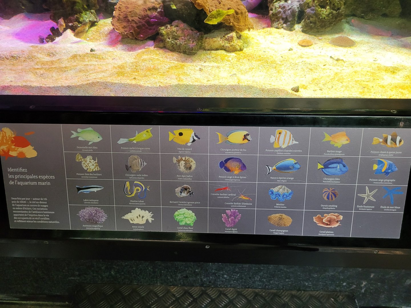 Reef sign -Parc Zoologique de Paris (2022)