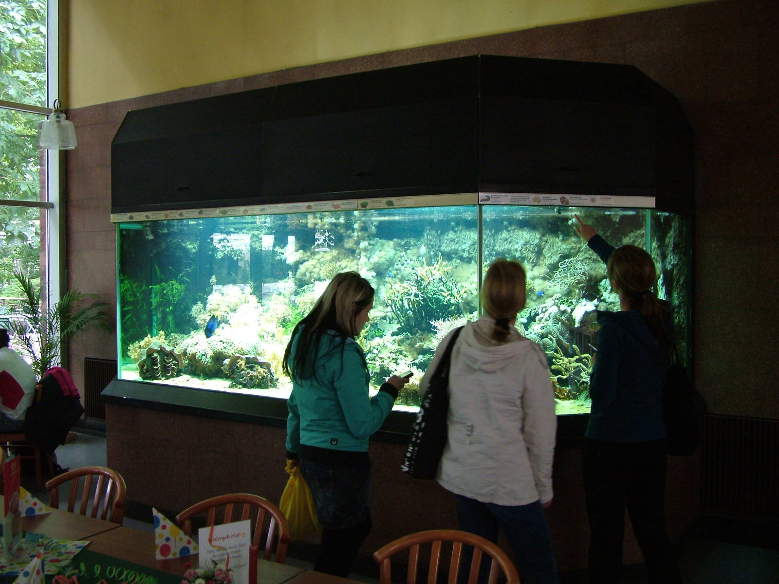 Reef Tank at Tierpark Berlin, 30/08/11
