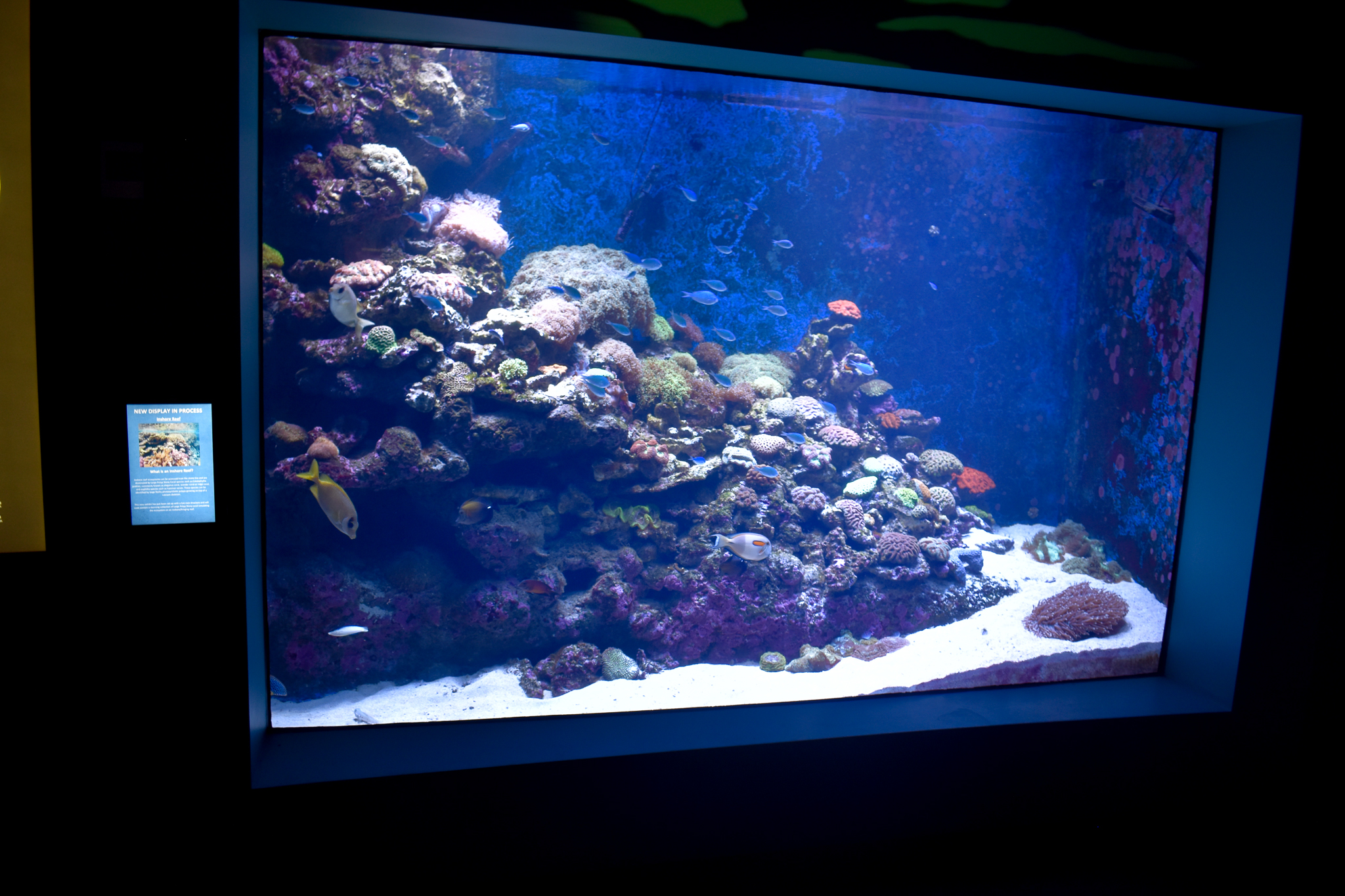 Reef tank example