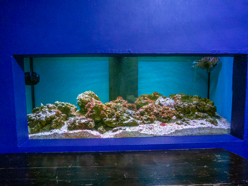 reef tank No 2