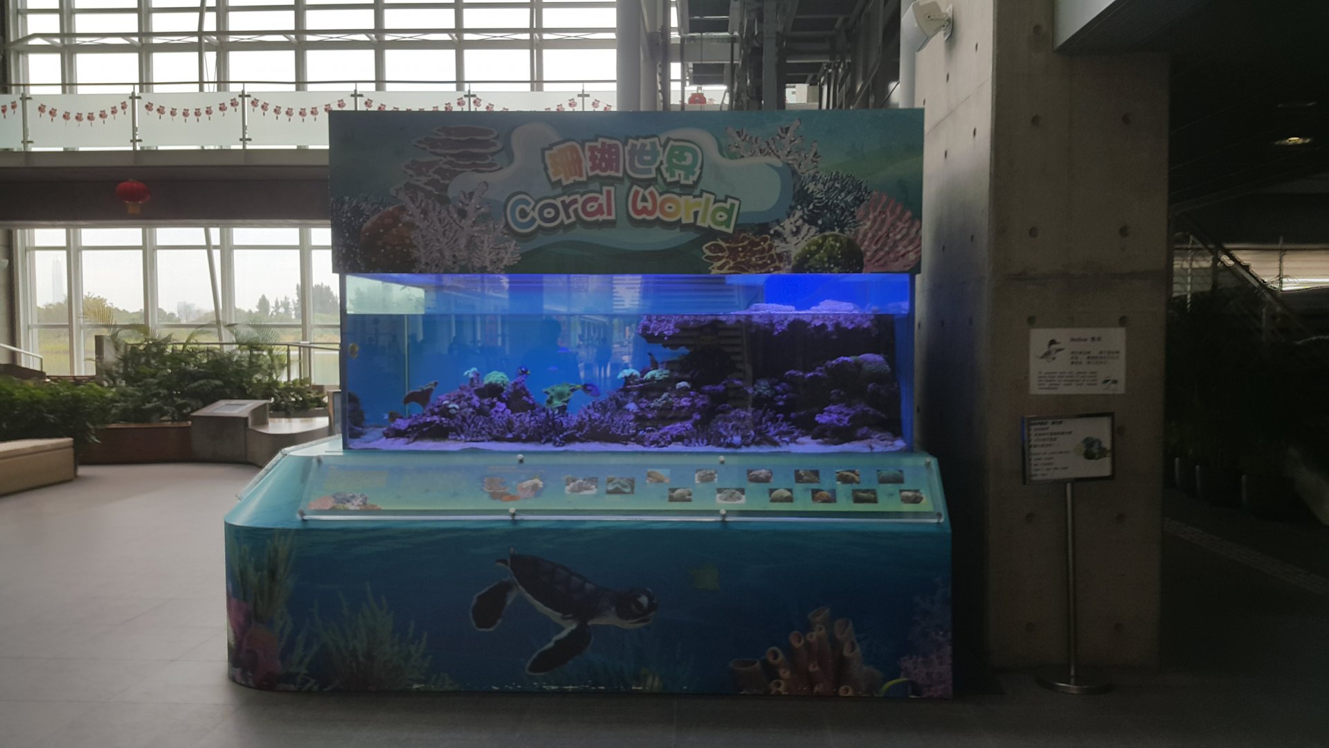 Reef Tank