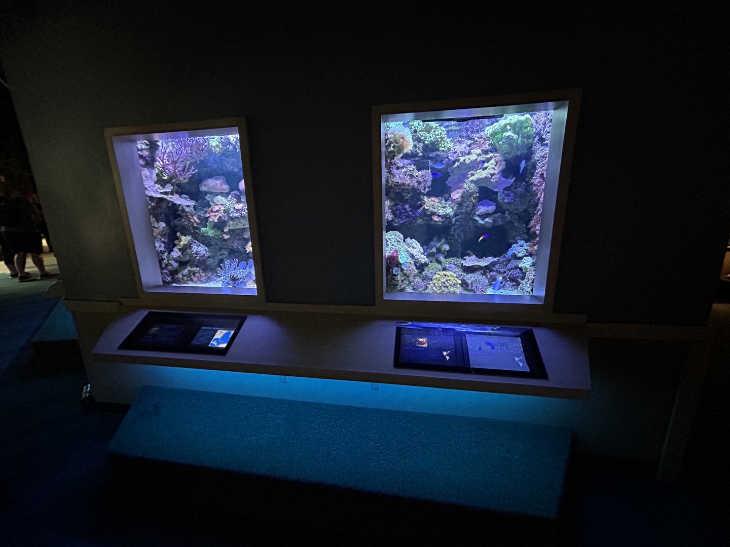 Reef Tanks - Unseen New World