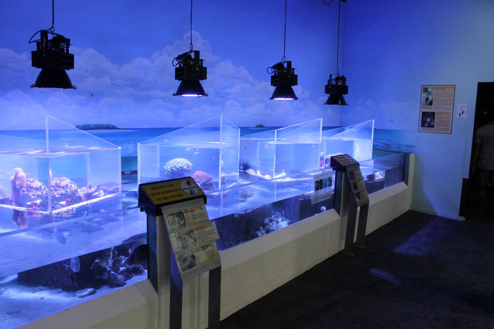 Reef tanks