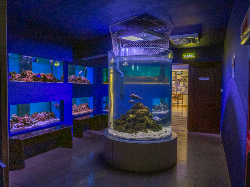 reef tanks