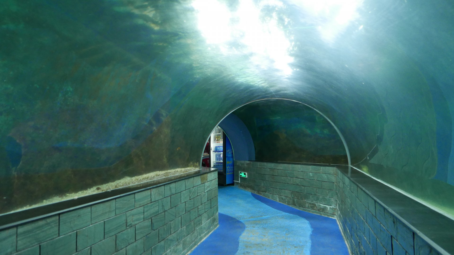 Reef Tunnel