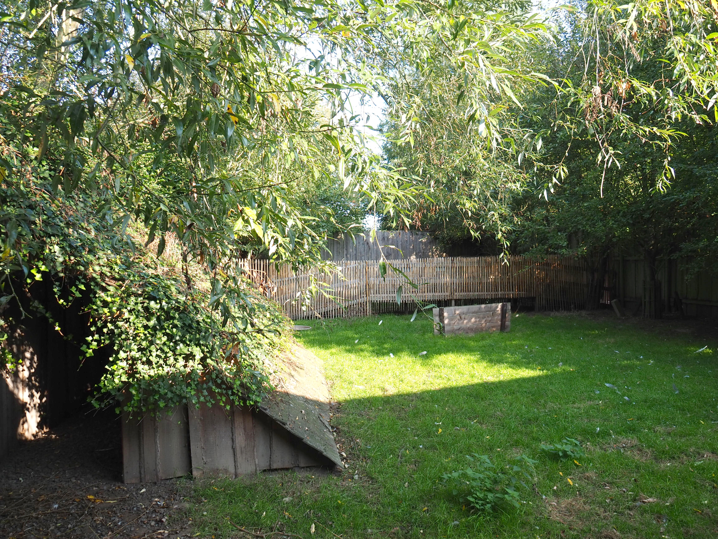 Reeves' muntjac and White-naped crane exhibit, 2020-09-12