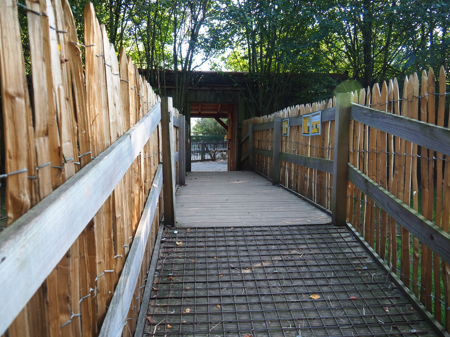 Reeves' muntjac and White-naped crane viewing area, 2020-09-12