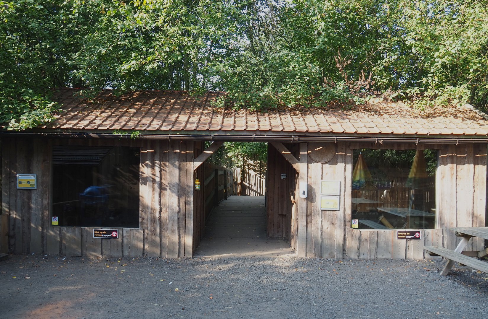 Reeves' muntjac barn with visitor passageway, 2020-09-12