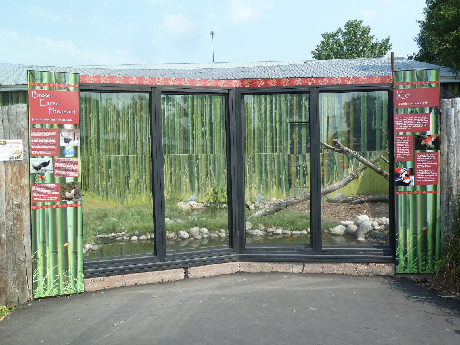 Reeve's Muntjac/Brown-Eared Pheasant Exhibit (formerly raccoon dogs)
