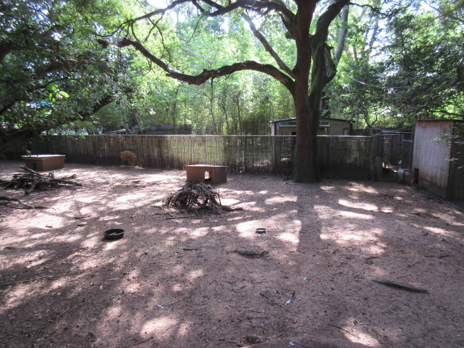 Reeve's Muntjac/Demoiselle Crane Exhibit