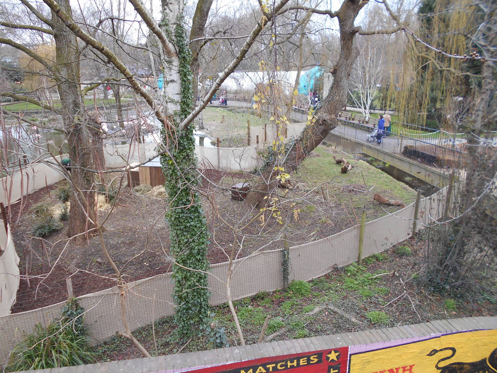 Reeve's Muntjac enclosure - Land of the Lions