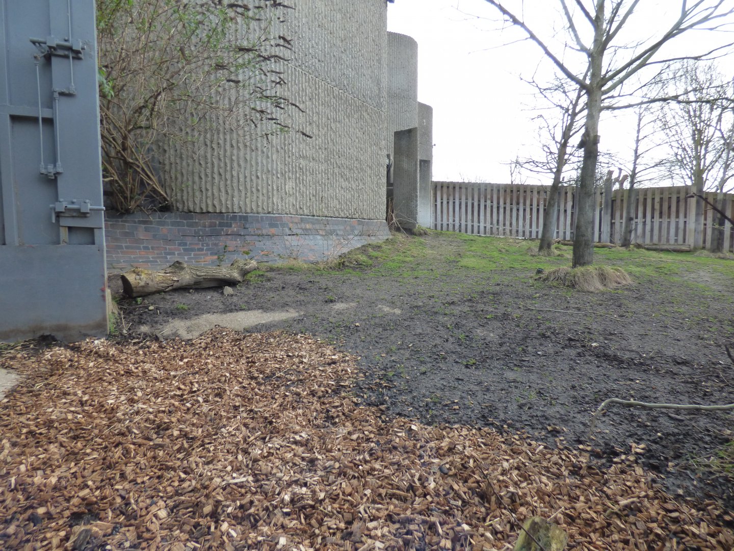 Reeves Muntjac Enclosure
