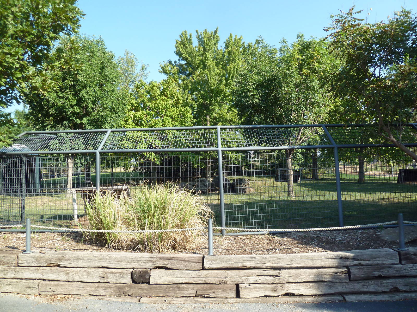 Reeves' Muntjac Exhibit