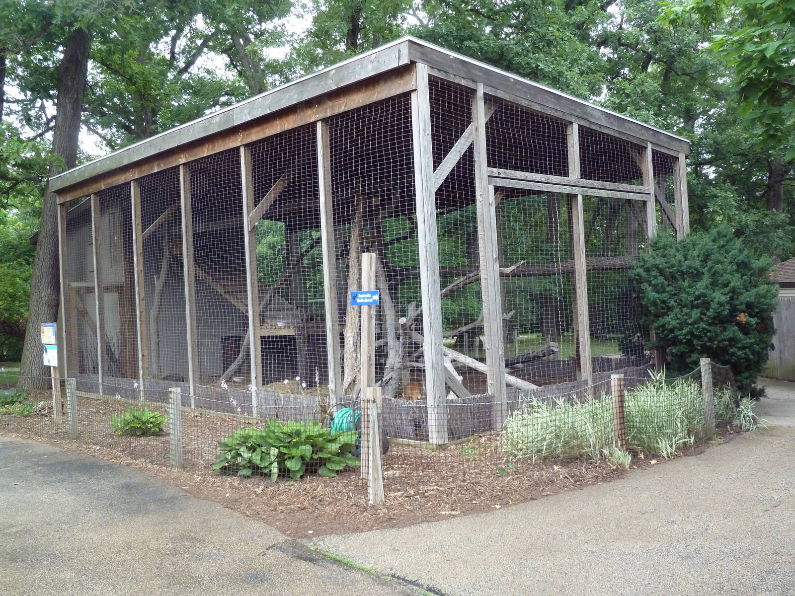 Reeve's Muntjac Exhibit