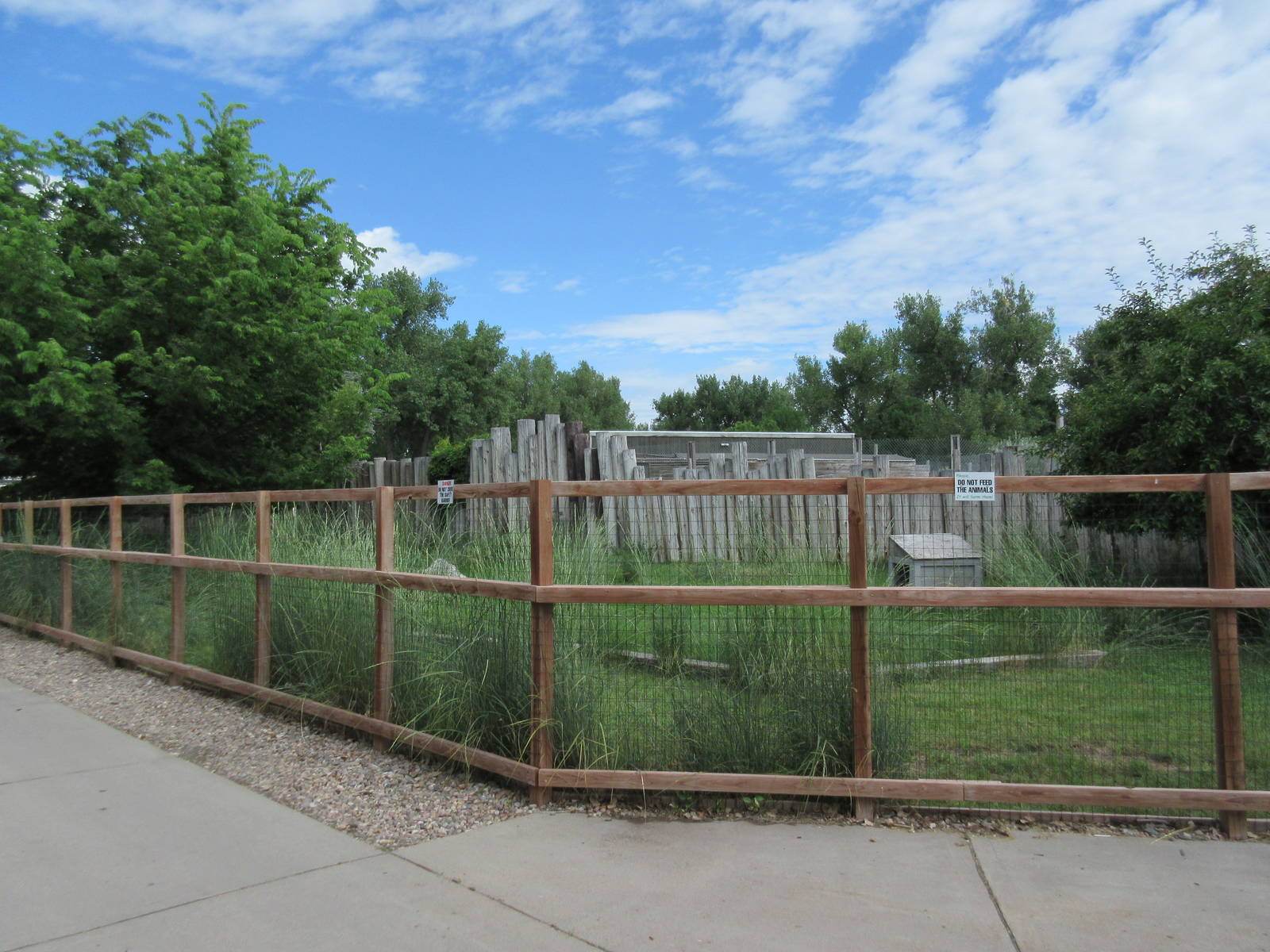 Reeves' Muntjac Exhibit