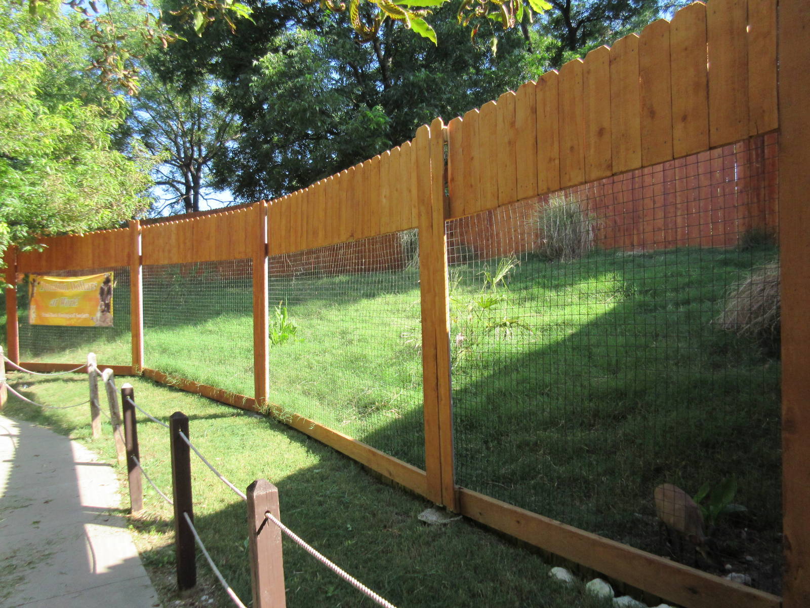 Reeve's Muntjac Exhibit