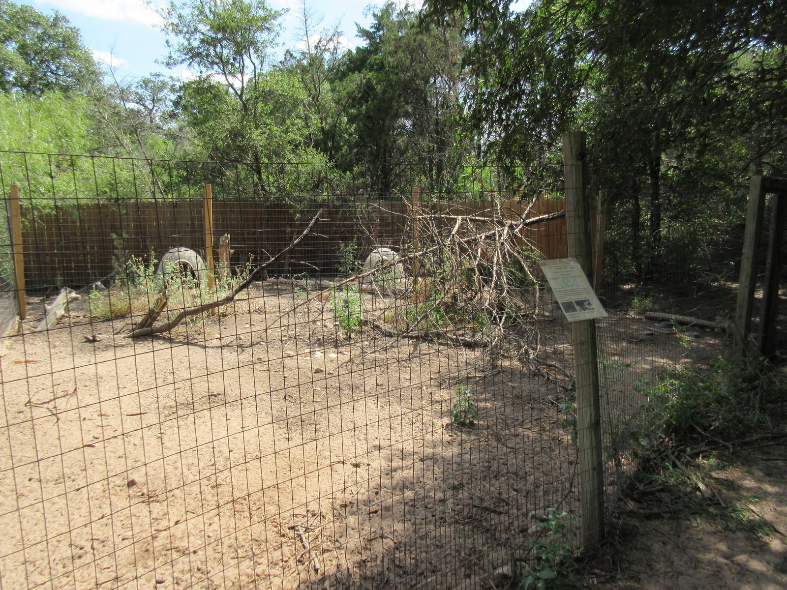 Reeve's Muntjac Exhibit