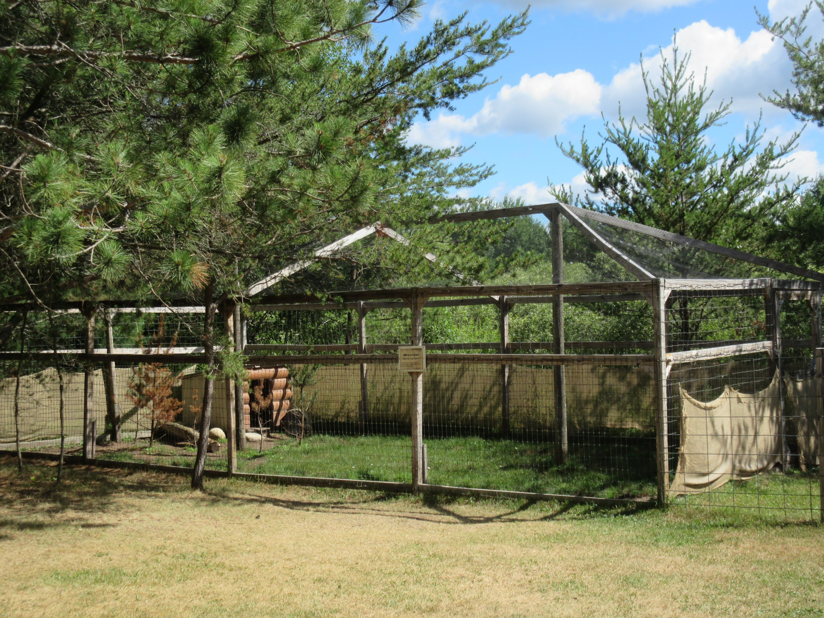Reeves' Muntjac Exhibit