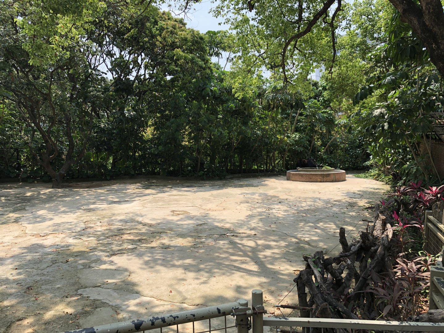 Reeve’s Muntjac Exhibit