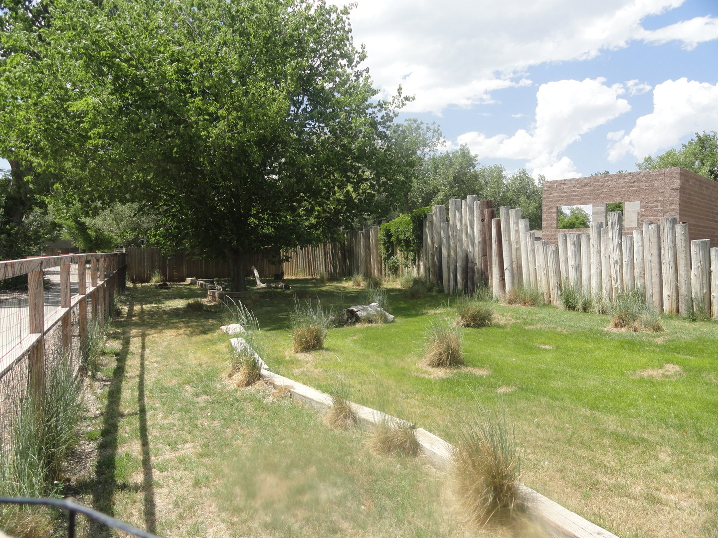 Reeve's Muntjac Exhibit