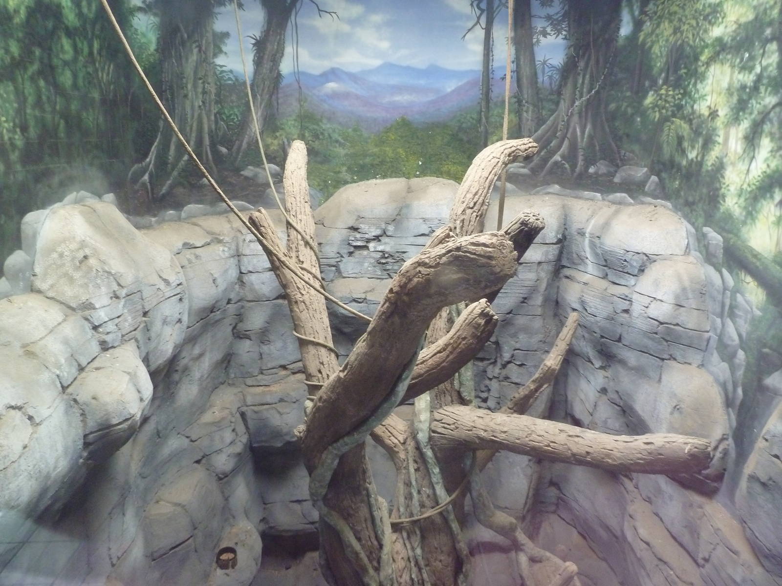 Reeve's Muntjac/Lady Amherst's Pheasant Exhibit (upper half)