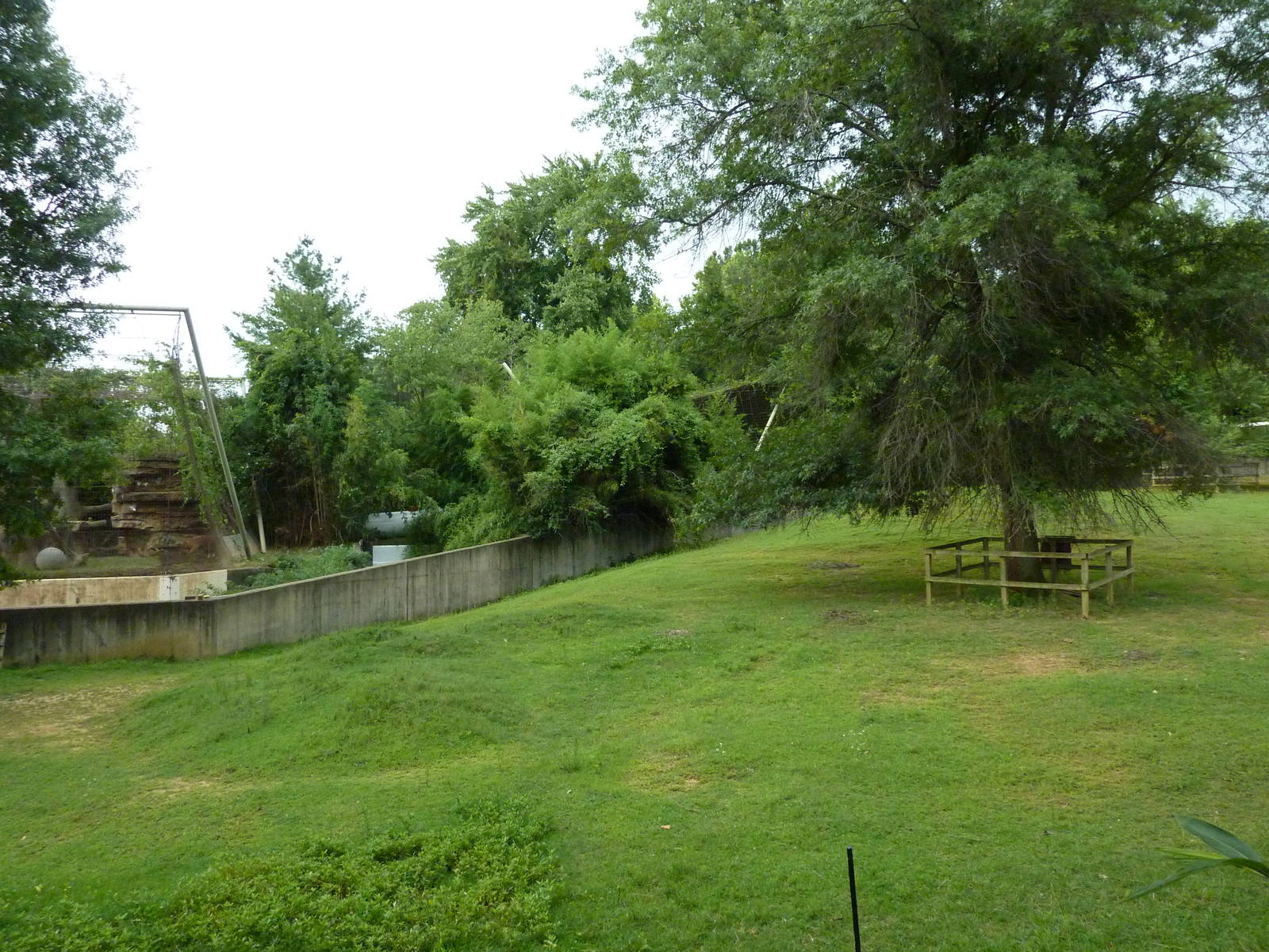 Reeves' Muntjac/Przewalski's Horse/Axis Deer Exhibit
