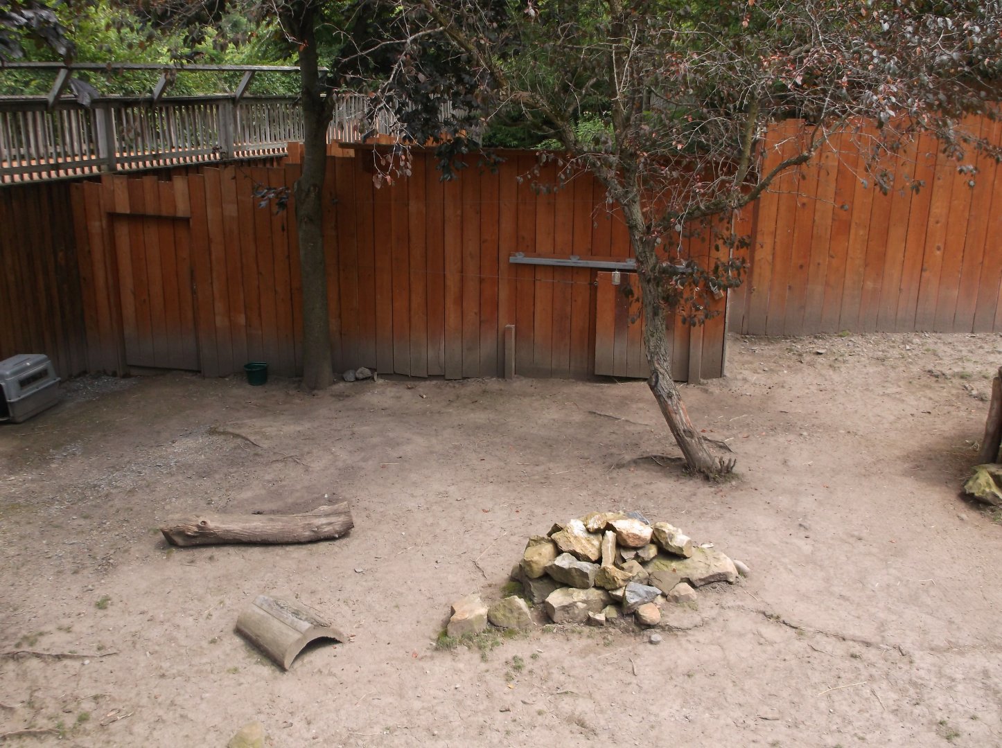 Reeve’s Muntjacenclosure