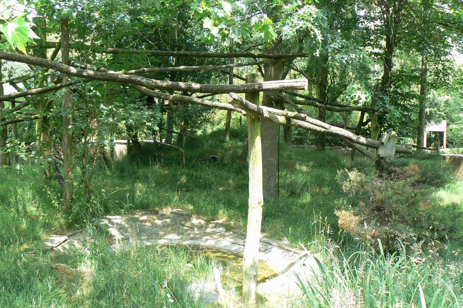 Reeves muntjacs and red pandas exhibit