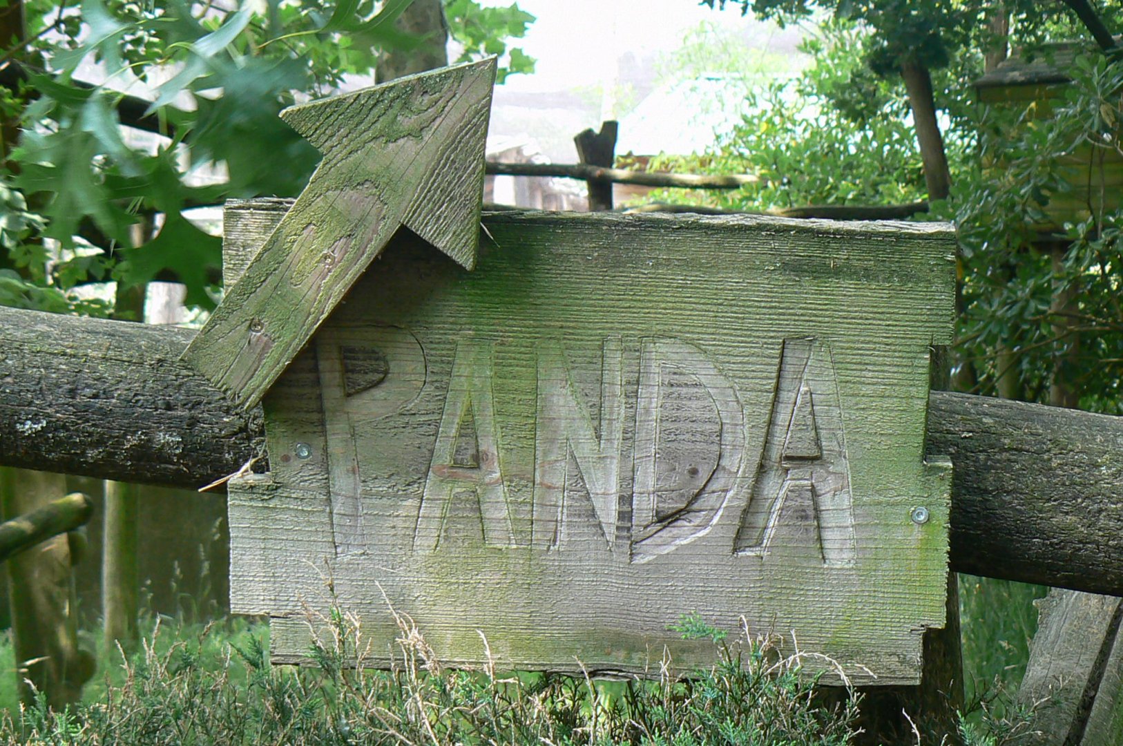 Reeves muntjacs and red pandas exhibit