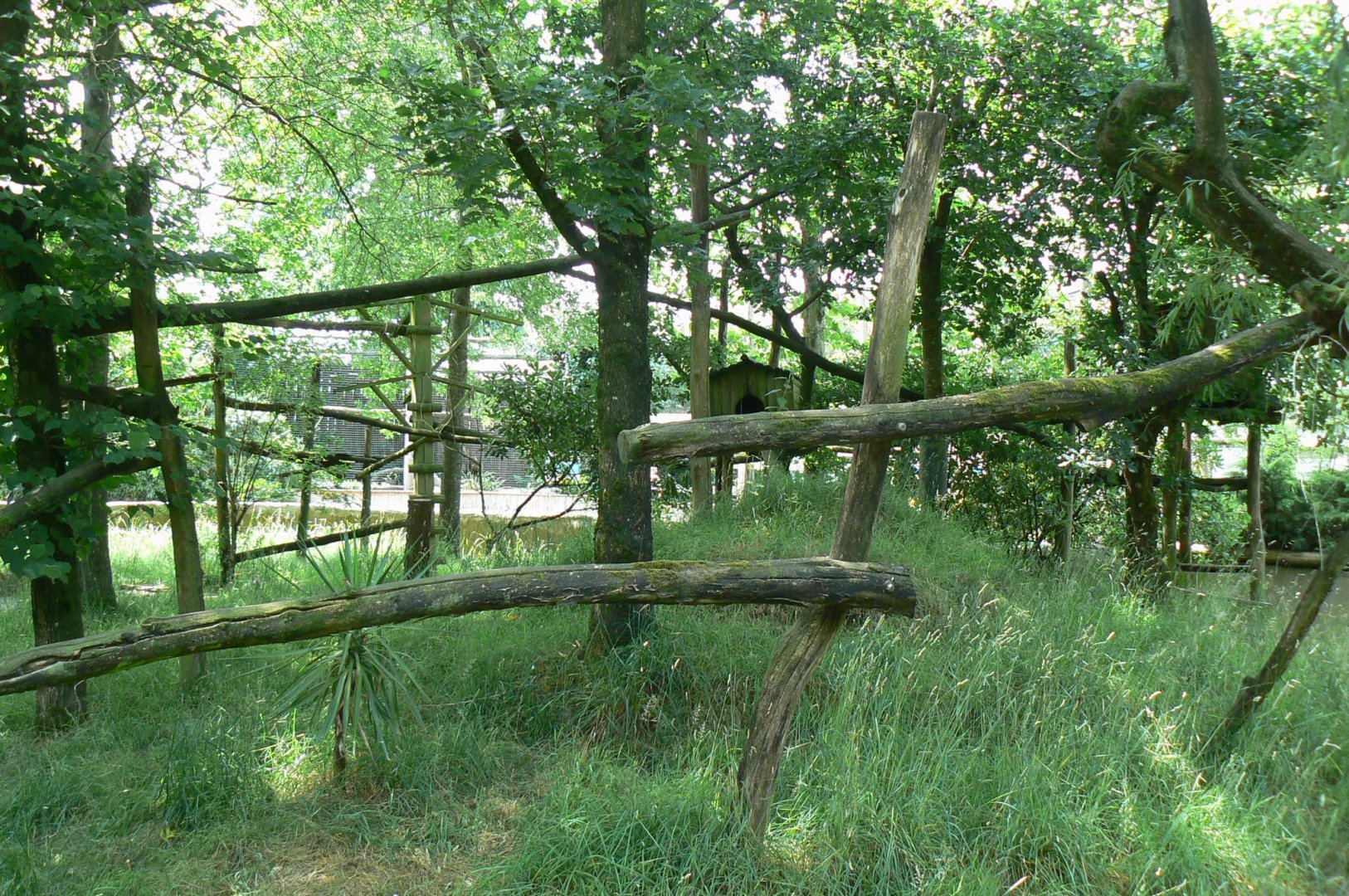 Reeves muntjacs and red pandas exhibit