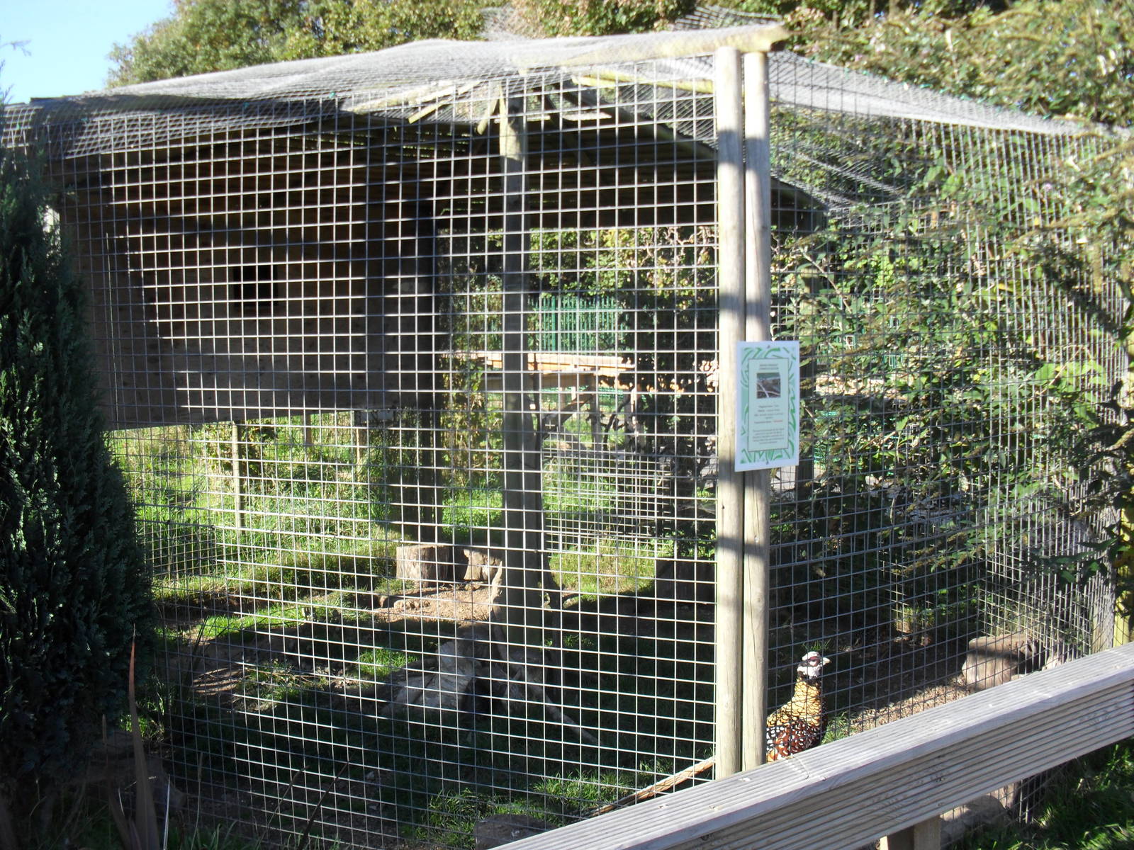 Reeves Pheasant Aviary