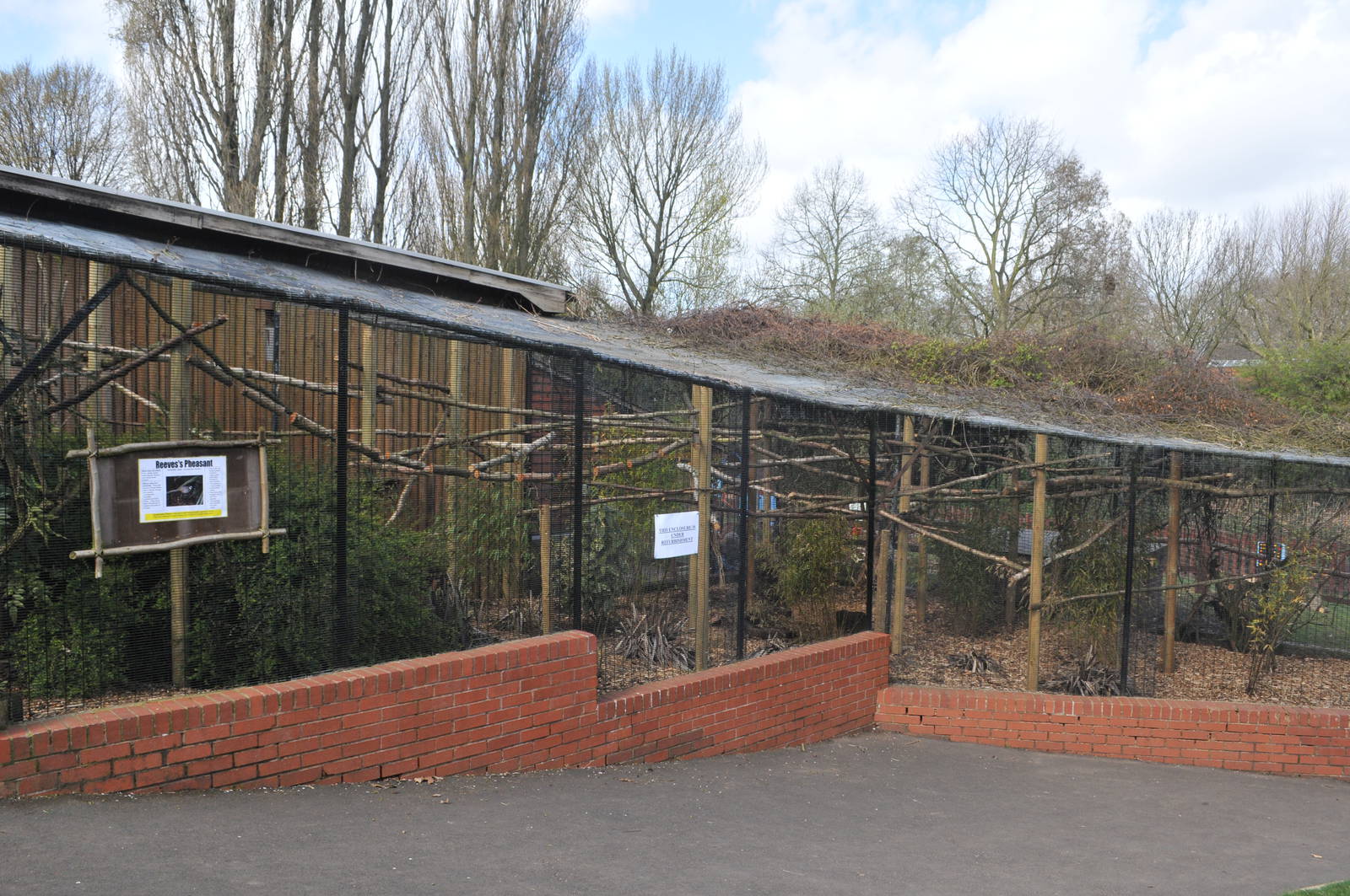REEVE'S PHEASANT ENCLOSURE
