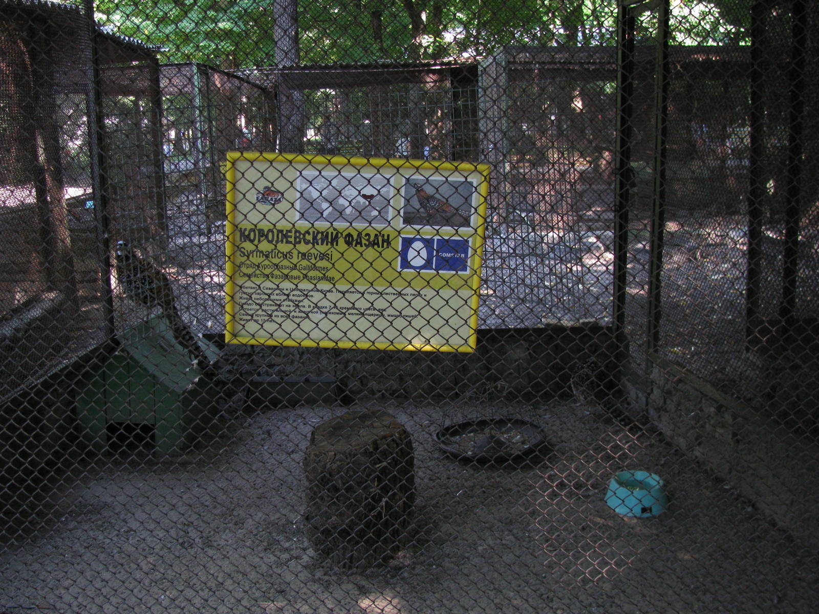 Reeves pheasant exhibit and signage
