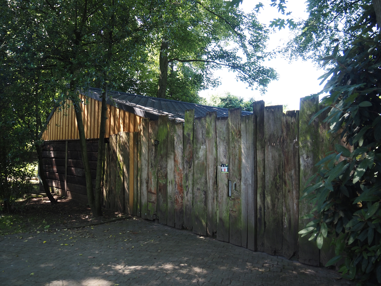 Reeves's muntjac and Michie's tufted deer barn, 2024-06-08