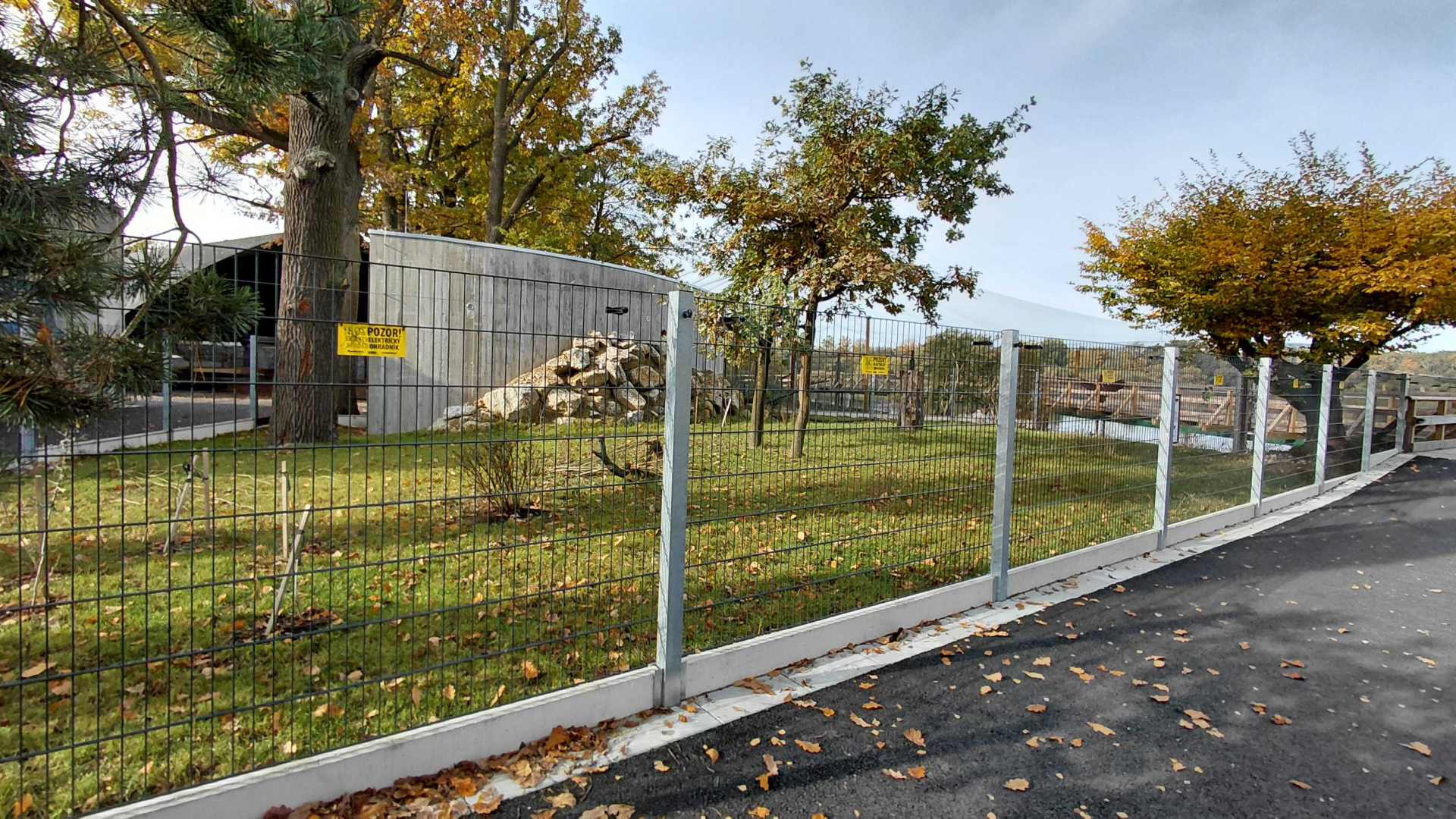 Reeves's muntjac exhibit